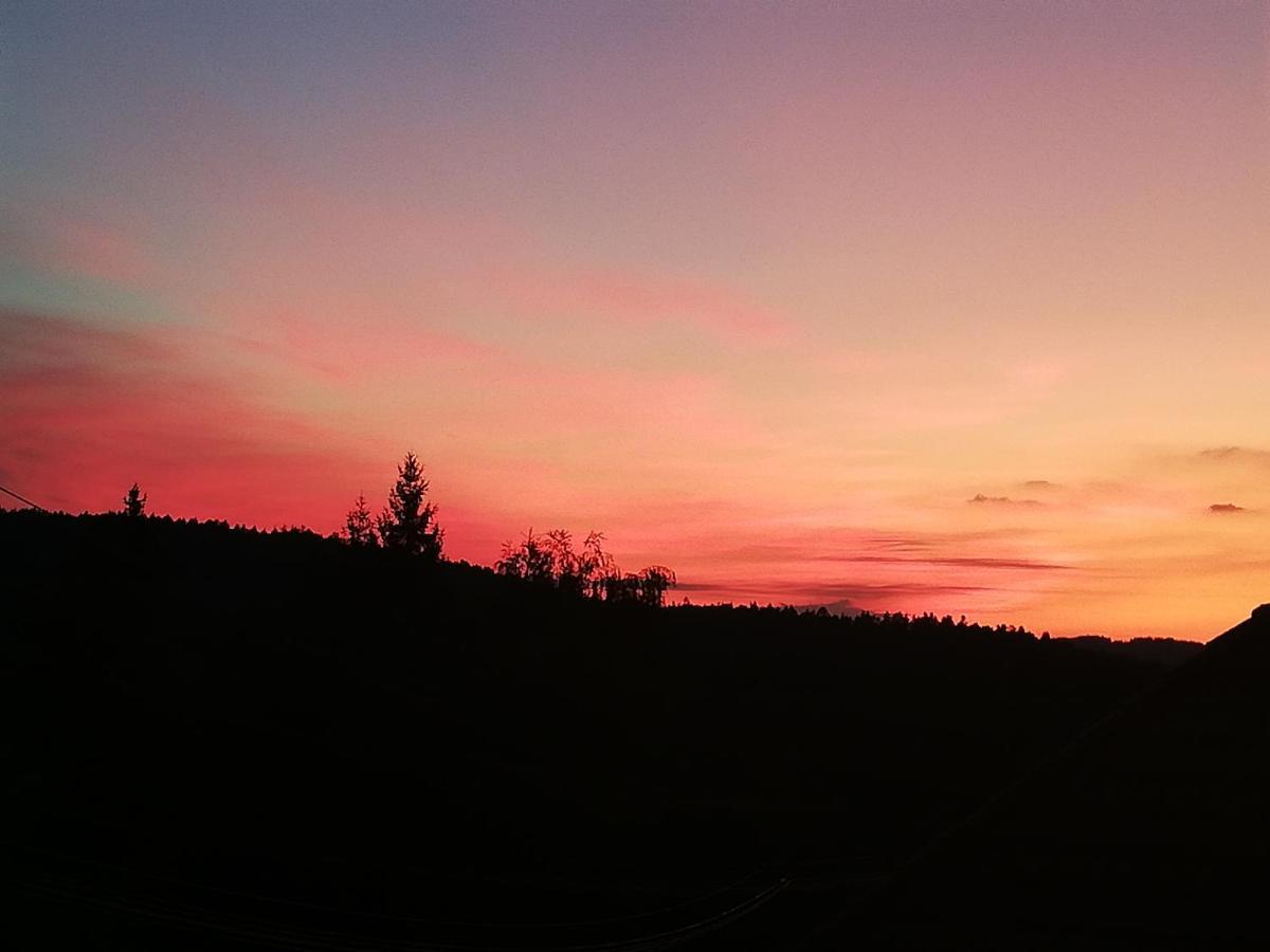 Ferienwohungen Im Kuchersbach Hornberg Εξωτερικό φωτογραφία