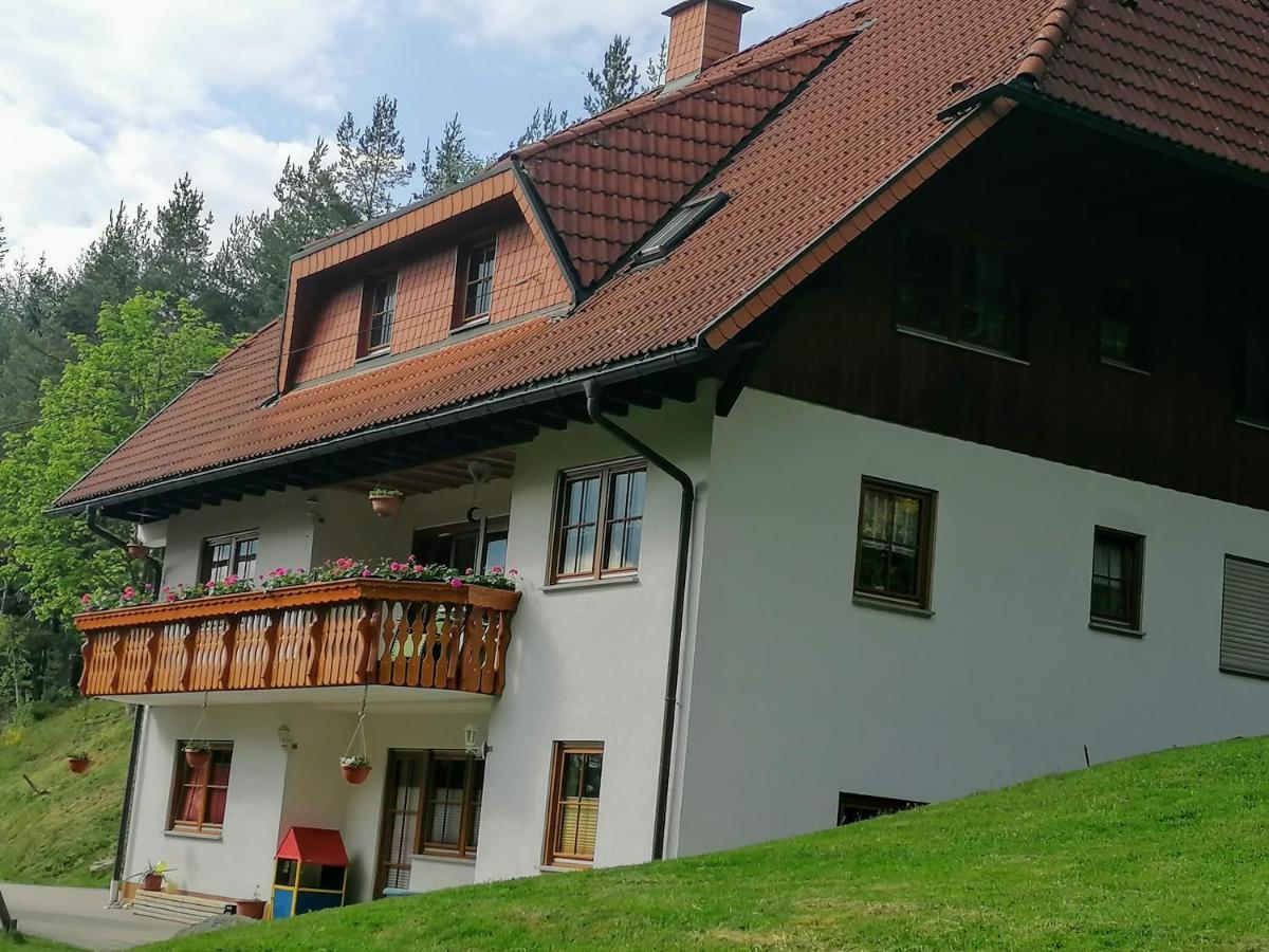 Ferienwohungen Im Kuchersbach Hornberg Εξωτερικό φωτογραφία
