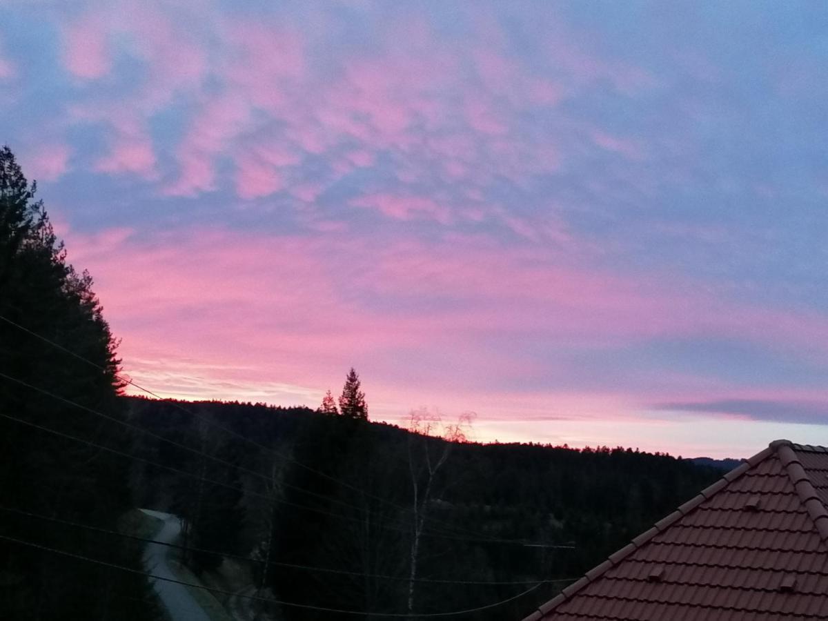 Ferienwohungen Im Kuchersbach Hornberg Εξωτερικό φωτογραφία