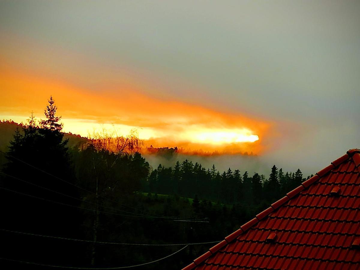 Ferienwohungen Im Kuchersbach Hornberg Εξωτερικό φωτογραφία