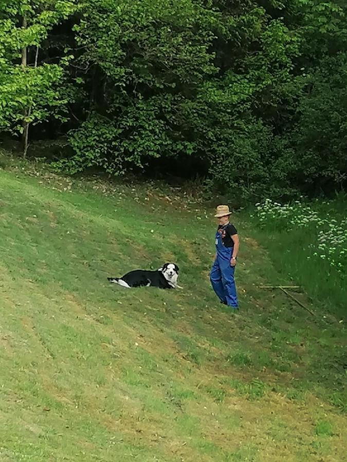 Ferienwohungen Im Kuchersbach Hornberg Εξωτερικό φωτογραφία