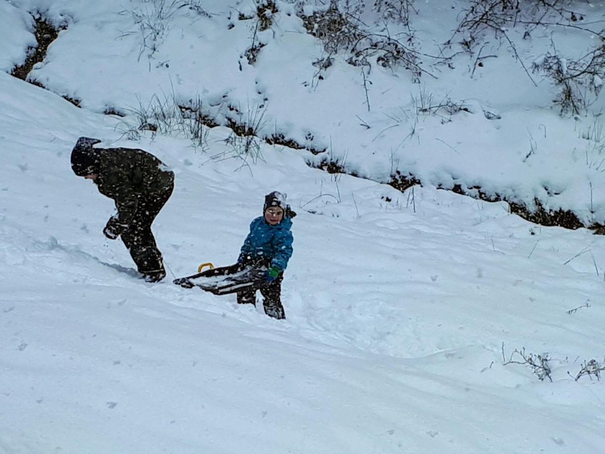 Ferienwohungen Im Kuchersbach Hornberg Εξωτερικό φωτογραφία