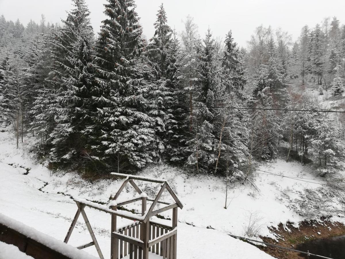 Ferienwohungen Im Kuchersbach Hornberg Εξωτερικό φωτογραφία