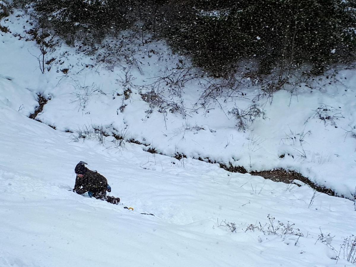 Ferienwohungen Im Kuchersbach Hornberg Εξωτερικό φωτογραφία