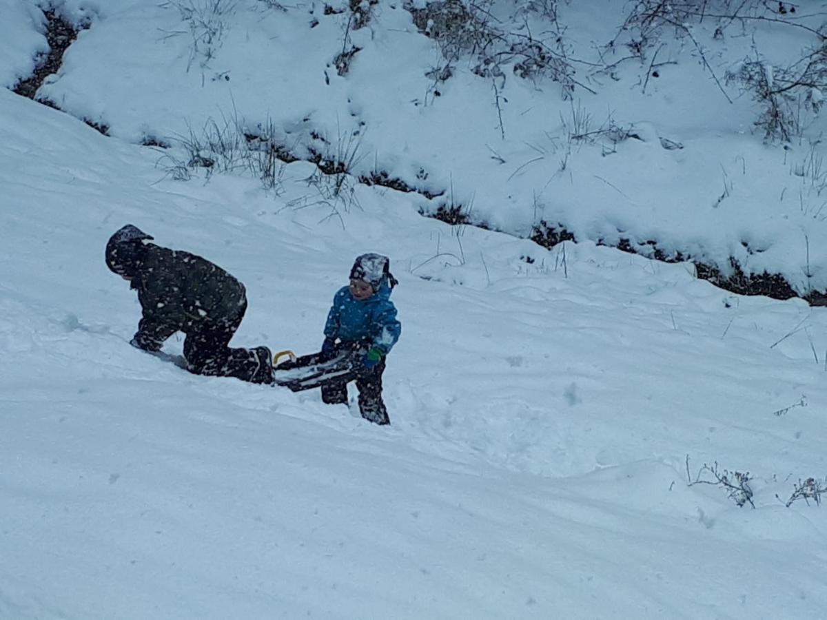 Ferienwohungen Im Kuchersbach Hornberg Εξωτερικό φωτογραφία