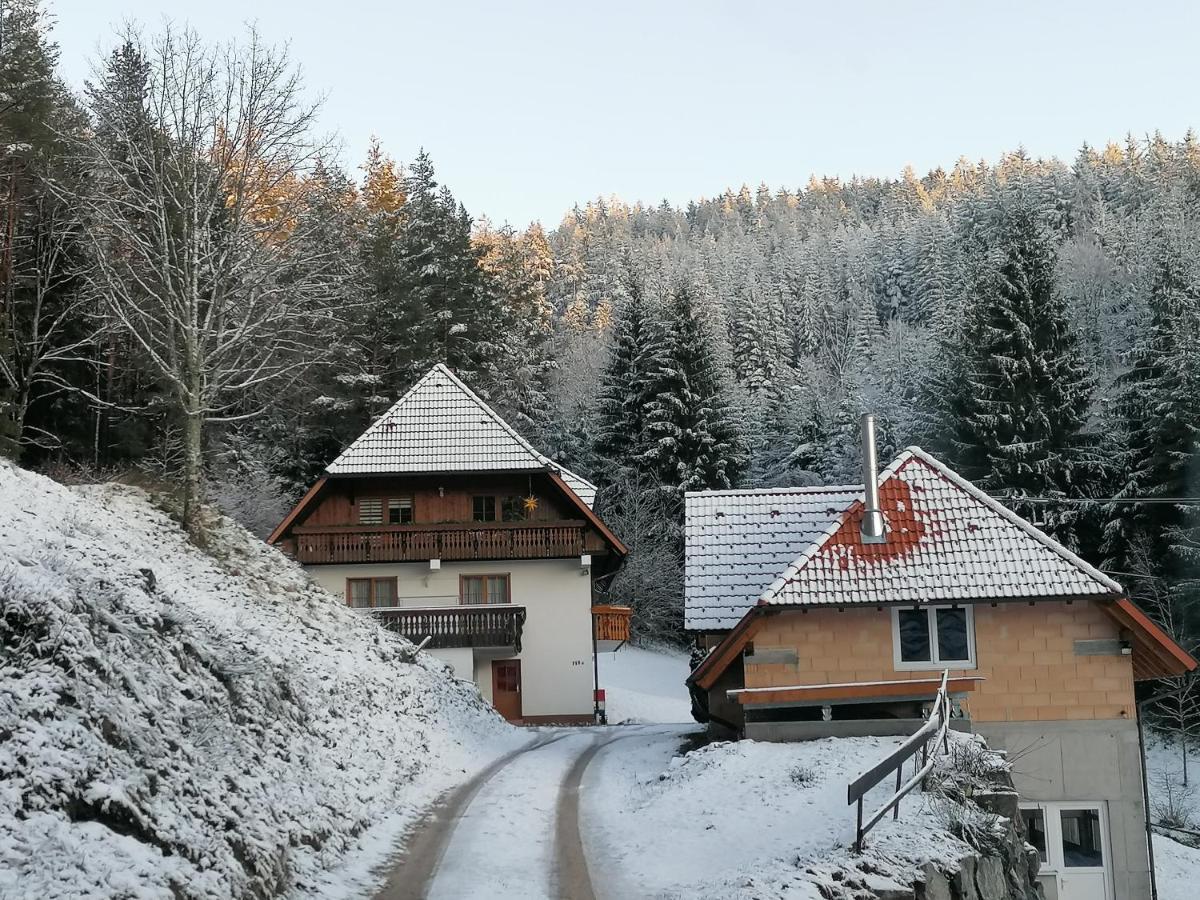 Ferienwohungen Im Kuchersbach Hornberg Εξωτερικό φωτογραφία