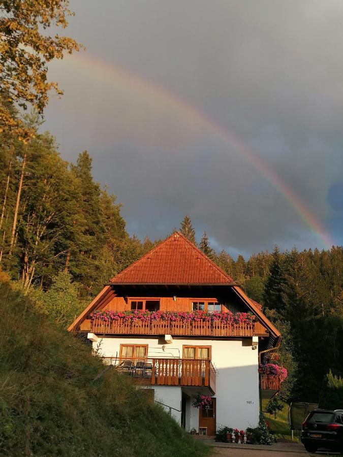 Ferienwohungen Im Kuchersbach Hornberg Εξωτερικό φωτογραφία