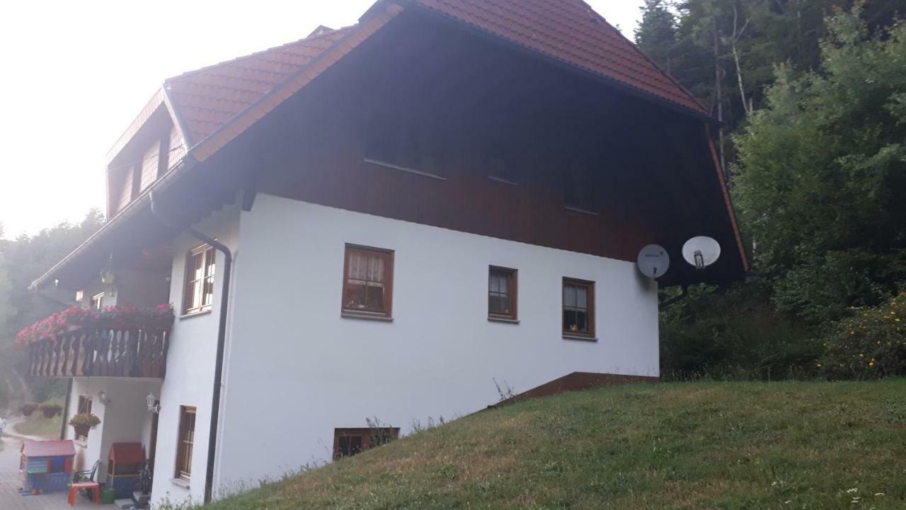 Ferienwohungen Im Kuchersbach Hornberg Εξωτερικό φωτογραφία